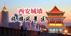我想看特级黄片人与兽中国陕西-西安城墙旅游风景区